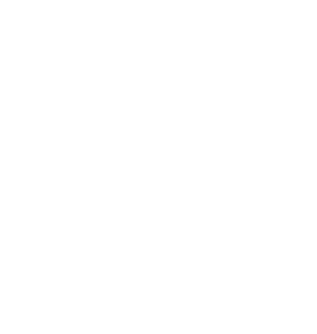 ff logo